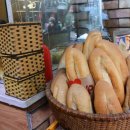 분보남보 이미지