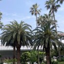 화신로8길1-7 | 제주 함덕 숙소 추천 ‘함덕8길5‘ 내돈내산 후기