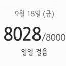 파파노아이 이미지