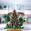 진동종합복지관 탁구장 | [경상남도 고성] *교육종합복지관 방문 후기*