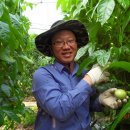 대견농장 이미지