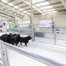 국립축산과학원 가축유전자원센터 이미지