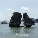하롱 - 군산시 부원로 26 | 하롱
