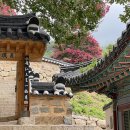 통영오아시스 이미지