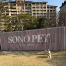 펫 클럽 | 소노펫 클럽앤리조트 비발디파크 후기 | 파크뷰 실버 스위트룸 숙박 &amp; 플레이그라운드 솔직 리뷰