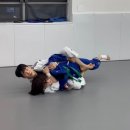 위례유도관 이미지