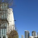 멜론버스(주) | 비에이 후라노 투어(유투어버스) 내돈내산 후기(9월말)