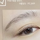 눈썹:미