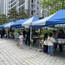 스타행사렌탈