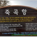 (주)메디콕스 오션