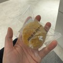 일산냉동공업(주) | 일산마리아 시험관 1차 성공후기 (신선이식, 주이영 선생님)