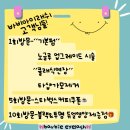 바비아이래쉬