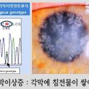 (주) 루미아이제네틱스 이미지