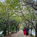 행정용 13 | 제13회 광명시장배 건강달리기대회 광명수육런 후기