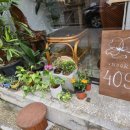 눅409(NOOK409)