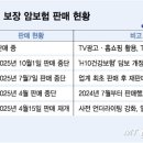 &#34;암 즉시 보장&#34; TV만 틀면 나오던 보험광고…확 줄어든 이유가 이미지