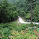 국망봉자연휴양림 이미지