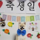 멍쭈냥 이미지