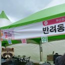 위드펫직업전문학원