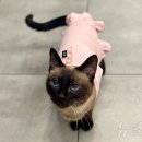 김남수동물병원 이미지