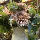 티라게스트하우스 이미지