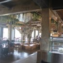 아덴+(Aden+) 이미지