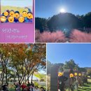 가평가평1084 | [공지] <자작나무 프로그램 소개>