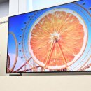 (주)퀀텀헬스케어코리아 이미지