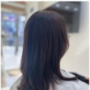 헤어봄날 이미지