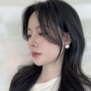 제니디자인 이미지