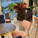 솔빈 마루 이미지