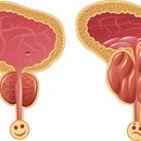 신마산태평양약국 이미지