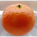 수채화 피부관리 이미지