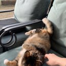 화수목스테이 이미지