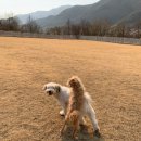 스테이기북