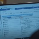 스테디독 이미지