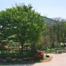 팔음로 이미지