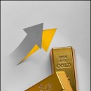 시엔컴퍼니 | 골드엔컴퍼니 금 투자 후기, 월 20만 원씩 쌓아가며 수익 안정화 중