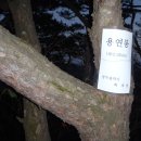 교동회관 이미지