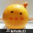 형진농장 이미지