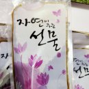 기찬경희한의원 네이버블로그