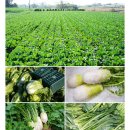 믿음식탁 이미지