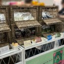 배드펫컴퍼니 이미지