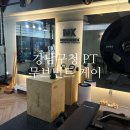 케이나인 트레이닝 센터 | [서울] 재활 운동, 통증개선 1:1 PT 센터 강남구청 PT 무브먼트 케이