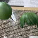 신짱헤어 이미지