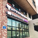 사라 양한방 동물병원 | 진북동 [ 사라 동물병원 ] 전주 고양이 병원 추천