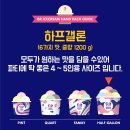 [집구석먹방] &#34;배스킨라빈스&#34; 메가팩 사전예약 후기 내돈내산