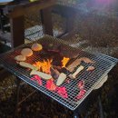 강천산 나비잠 이미지