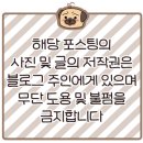 진미떡볶이광주점 이미지