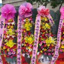 조치과의원 이미지